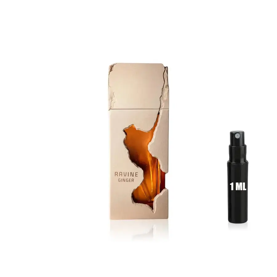 Ravine Ginger - French Avenue - Sample - Image 3