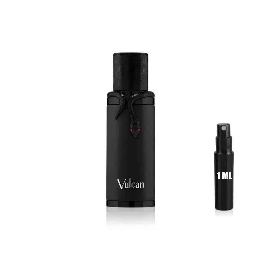 Vulcan Black - French Avenue - Sample - Image 2