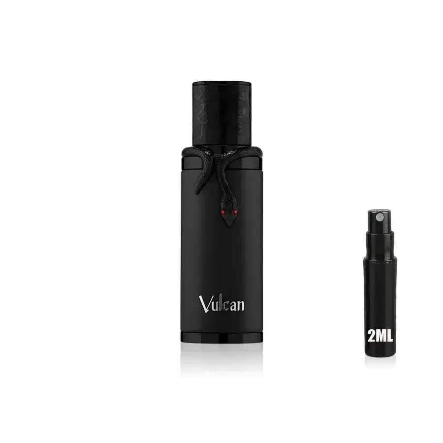 Vulcan Black - French Avenue - Sample - Image 3